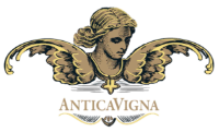 Antica Vigna