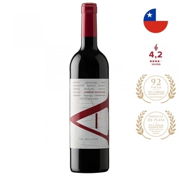 xx_vinho-tinto-vik-a-cabernet-sau-61c8ea5833e162153bc240c239cebf78-624-0.webp